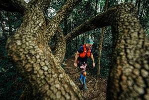 BIB: 
                            <button type="button" onclick="openModal(25669608)" class="btn btn-primary btn-sm float-right btn-popup" data-toggle="modal" data-target=".modal-high-quality">
                        <i class="fas fa-shopping-cart"></i> Add to Cart
                    </button>
                                            <button type="button" onclick="isThisMe(25669608, true)" class="btn btn-success btn-sm float-right btn-popup btn-isme hidden" data-toggle="tooltip" data-placement="bottom" title="นี่คือรูปของคุณใช่ไหม คลิกที่นี่เพื่อเอาเข้าอัลบั้ม">
                        <i class="fas fa-plus"></i> Add to album
                    </button>
                    <button type="button" onclick="isThisMe(25669608, false)" class="btn btn-warning btn-sm float-right btn-popup btn-isnotme hidden">
                        <i class="fas fa-ban"></i> Remove from album
                    </button>